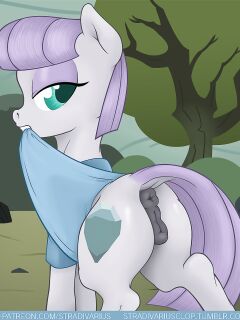 [Stradivarius] Maud Pie (My Little Pony: Friendship is Magic) Preview