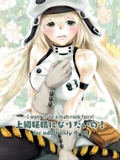 (Mega MBFes TOKYO in Tokyo Ryuutsuu Center) [Momoen (Momo)] Joukyuu Yousei ni Naritai no! | I want to be a high-rank fairy! (Fate/Grand Order) [The Blavatsky Project]