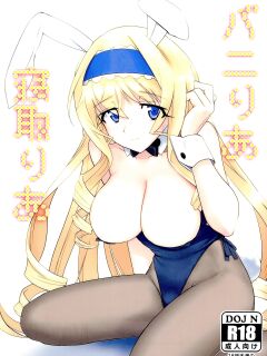 (C85) [Terikoya (Buri)] Baniria Netoria (IS <Infinite Stratos>)