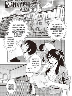 [Shinozaki Rei] St Harukawa Academy's Strange Tales (Mesubuta JK Nikubenki!!!) [desudesu] Preview