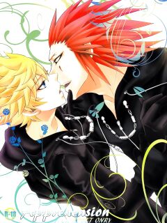 (C78) [CUBE (hana)] Apprehension (Kingdom Hearts) [arix]