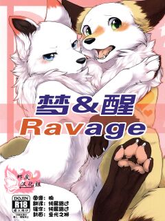 (Kansai! Kemoket 5) [D-Point! (Diga Tsukune)] Yume Utsutsu Lovage [Colorized] Preview