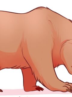 Bear Bimbofication Preview
