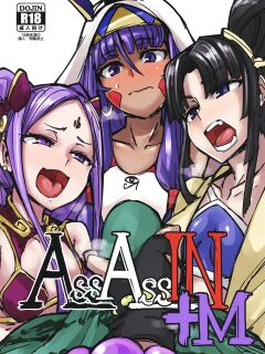 (C95) [K2 Manhole (P)] AssAssIN+M (Fate/Grand Order) [MegaFagget]