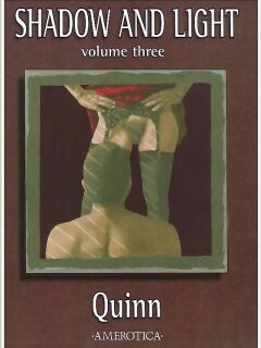 [Quinn] Shadow and Light - Volume 3 Preview