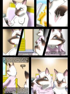 [Kitsune Youkai] Bad Kitties