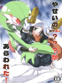 (C101) [Hanya Yashiki (Hanya)] Yasei no Oyabun Sirnight ga Arawareta! (Pokémon)