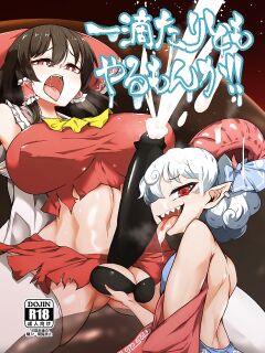 [Hadairo Rooibos Tea (Pandain)] Ittekitaritomo Yaru Mon Ka!! (Touhou Project) (RookieDreams) Preview