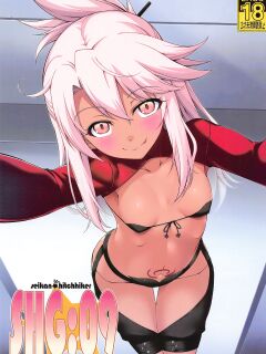 (C101) [Seikan Hitchhiker (Tsurugi Ai)] SHG:09 (Fate/kaleid liner Prisma Illya, Fate/Grand Order)
