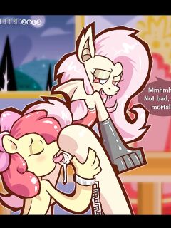 [Bluebreed] Surgations 2015