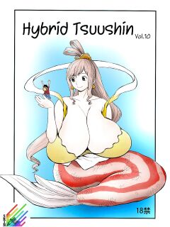 (COMIC1☆6) [Hybrid Jimushitsu (Muronaga Char siu)] Hybrid Tsuushin Vol.10 (One Piece)