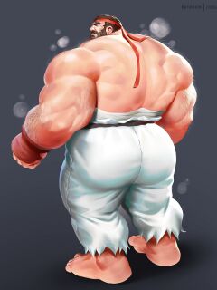 [ZoroJ] Daddy Ryu (Street Fighter)