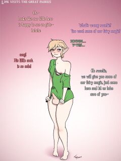Toby Art - Link Visits the Great Fairies Preview