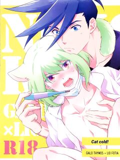 (Kyouten Douchi) [AquariuM (Umire)] Neko Kaze! | Cat cold! (Promare) [dykewpie]