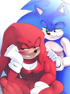 [KrazyELF] Shaking Up The Skies: Sonknux Comic