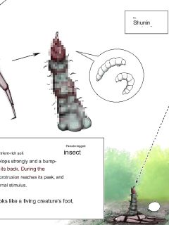 Mushi Research Report No. 5 (Eng.)