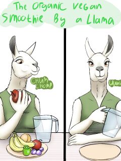 [Refe2 (Xyi)] The Organic Vegan Smoothie by a Llama + Extras