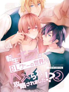[niwaniwa (Oova Akiru)] Tensei Mob wa BL-gee no Sekai de Hamerare Kouryakusaremashita!? 2 | Sex with the Love Interest! But I'm an NPC! 2 [Bean Works] Preview