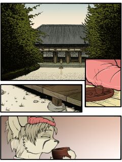 [Dktorzi] Chakat Season 1 Preview